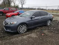 Honda Accord exl salvage cars for sale: 2013 Honda Accord EXL