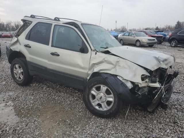 2004 Ford Escape XLT