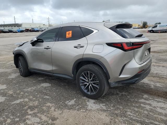 2024 Lexus NX 250 Premium