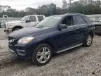 2015 Mercedes-Benz ML 350