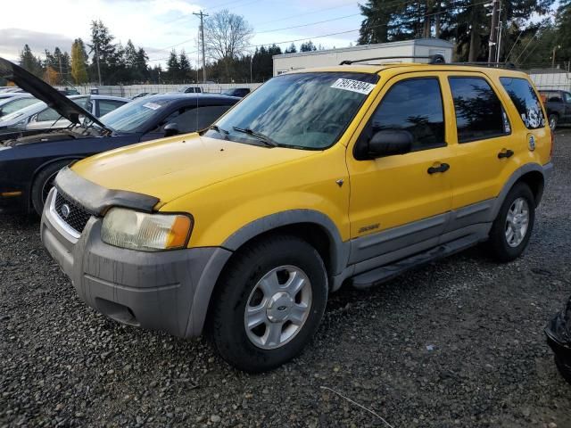 2002 Ford Escape XLT