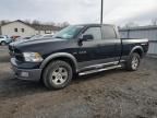 2010 Dodge RAM 1500