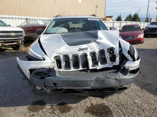 2014 Jeep Cherokee Trailhawk