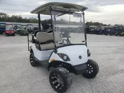 2023 Yamaha Golf Cart en venta en Arcadia, FL