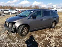 Salvage cars for sale at Hillsborough, NJ auction: 2012 Honda Odyssey EXL