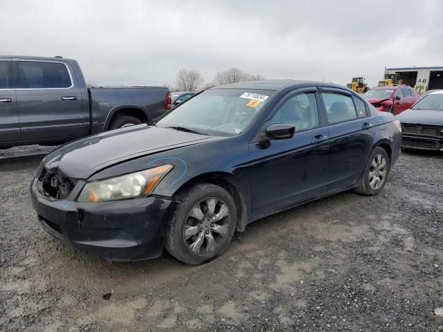 2009 Honda Accord EXL