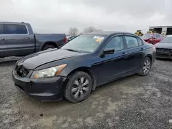 Salvage cars for sale at Chambersburg, PA auction: 2009 Honda Accord EXL