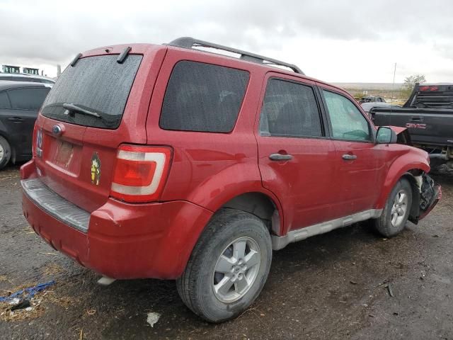 2009 Ford Escape XLT