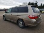 2005 Honda Odyssey EXL