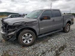 Salvage cars for sale at Tifton, GA auction: 2013 Ford F150 Supercrew