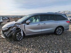 Salvage cars for sale at Magna, UT auction: 2022 Honda Odyssey EXL