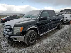 Salvage trucks for sale at Magna, UT auction: 2014 Ford F150 Supercrew