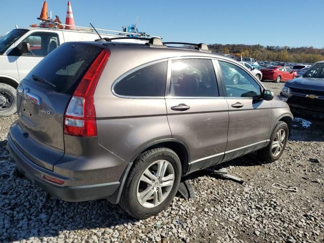 2010 Honda CR-V EXL