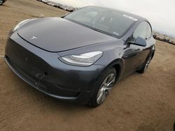 2023 Tesla Model Y en venta en Brighton, CO