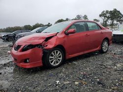 Carros salvage a la venta en subasta: 2009 Toyota Corolla Base