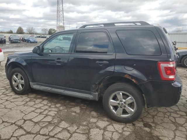 2012 Ford Escape XLT