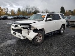 Toyota 4runner salvage cars for sale: 2020 Toyota 4runner SR5/SR5 Premium