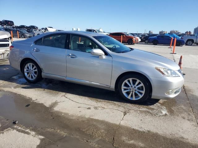 2010 Lexus ES 350