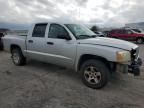 2006 Dodge Dakota Quattro