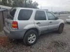 2007 Ford Escape XLT