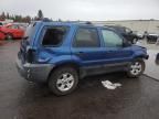 2007 Ford Escape XLT