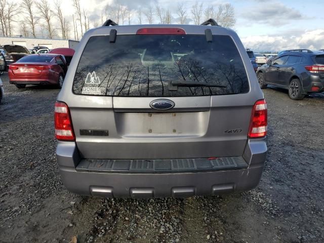 2008 Ford Escape XLT