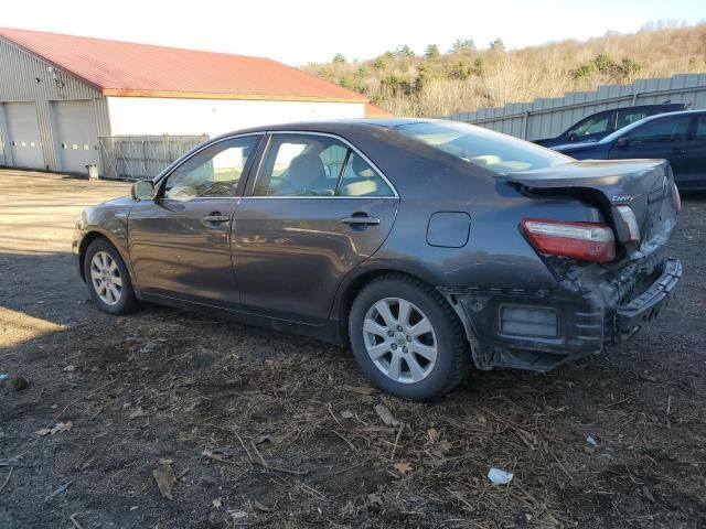 2009 Toyota Camry Hybrid