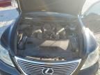 2007 Lexus LS 460