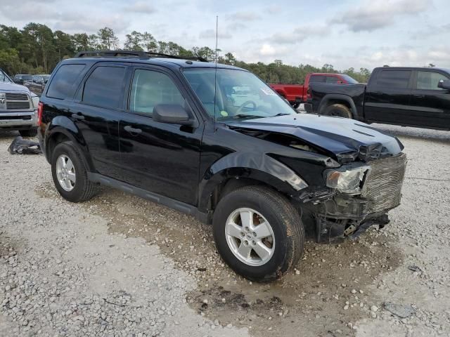 2012 Ford Escape XLT