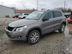 Salvage cars for sale at Columbus, OH auction: 2009 Volkswagen Tiguan S