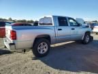 2010 Dodge Dakota SXT