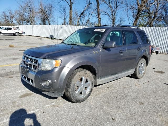 2011 Ford Escape Limited