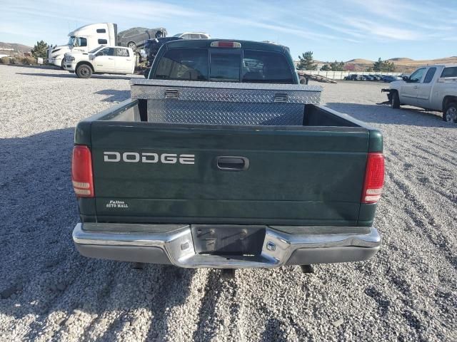 2001 Dodge Dakota Quattro