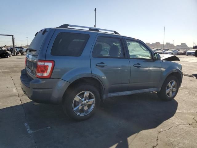 2010 Ford Escape Limited