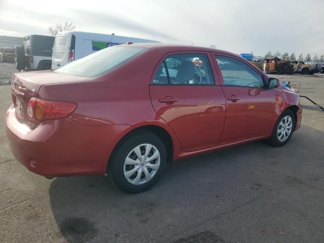 2010 Toyota Corolla Base