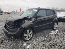 Salvage cars for sale at Barberton, OH auction: 2010 KIA Soul +