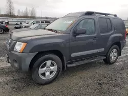 Nissan salvage cars for sale: 2005 Nissan Xterra OFF Road