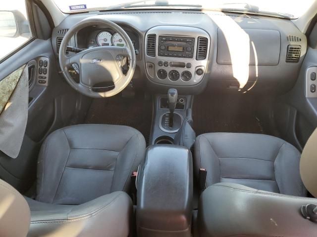 2005 Ford Escape XLT