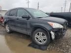 2010 Honda CR-V EXL