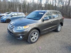 Salvage cars for sale at Cookstown, ON auction: 2012 Hyundai Santa FE GLS