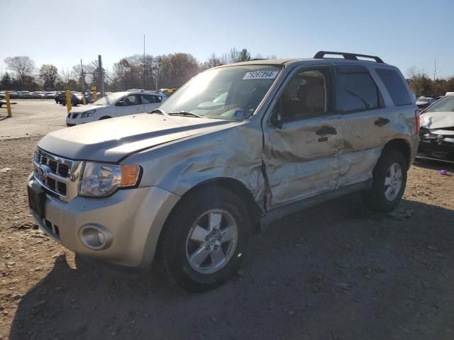 2011 Ford Escape XLT