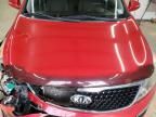 2014 KIA Sportage EX