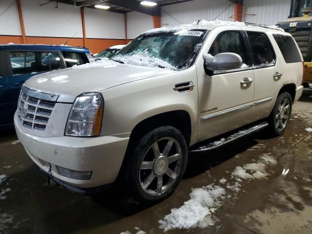 2010 Cadillac Escalade Luxury