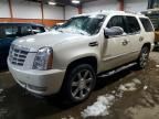 2010 Cadillac Escalade Luxury