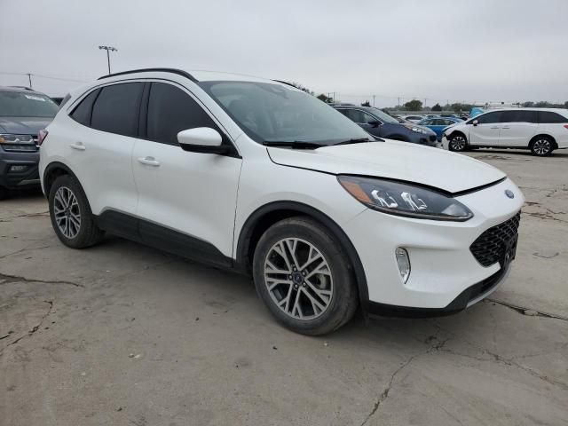 2021 Ford Escape SEL