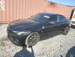 Alfa Romeo salvage cars for sale: 2019 Alfa Romeo Giulia Quadrifoglio