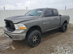 Dodge Vehiculos salvage en venta: 2011 Dodge RAM 1500