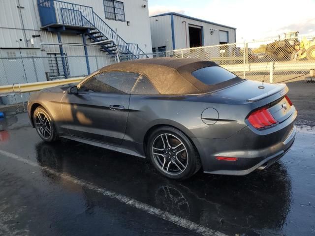 2019 Ford Mustang