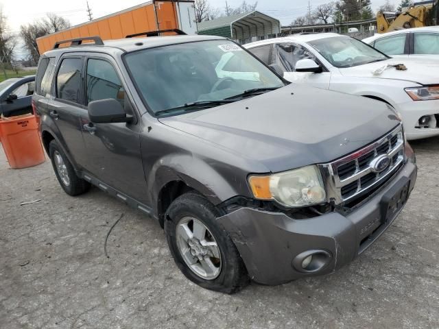 2009 Ford Escape XLT