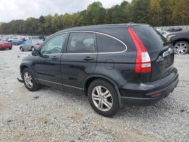 2010 Honda CR-V EXL